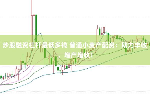 炒股融资杠杆最低多钱 普通小麦产配资：助力丰收，增产增收！