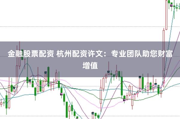 金融股票配资 杭州配资许文：专业团队助您财富增值