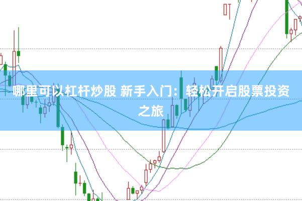 哪里可以杠杆炒股 新手入门：轻松开启股票投资之旅