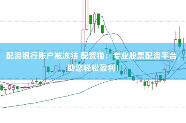 配资银行账户被冻结 配资猫：专业股票配资平台，助您轻松盈利！