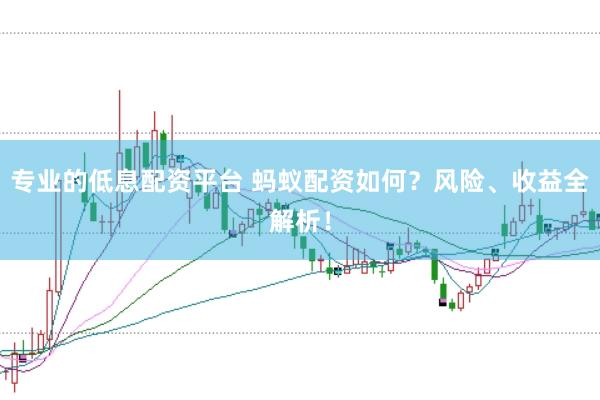 专业的低息配资平台 蚂蚁配资如何？风险、收益全解析！
