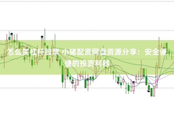 怎么买杠杆股票 小猪配资网盘资源分享：安全便捷的投资利器