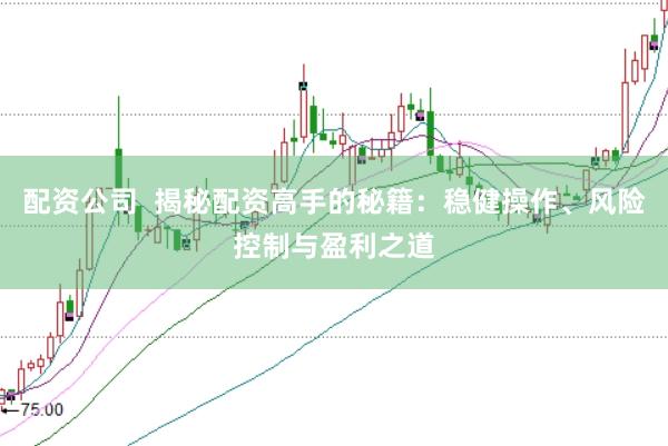 配资公司  揭秘配资高手的秘籍：稳健操作、风险控制与盈利之道